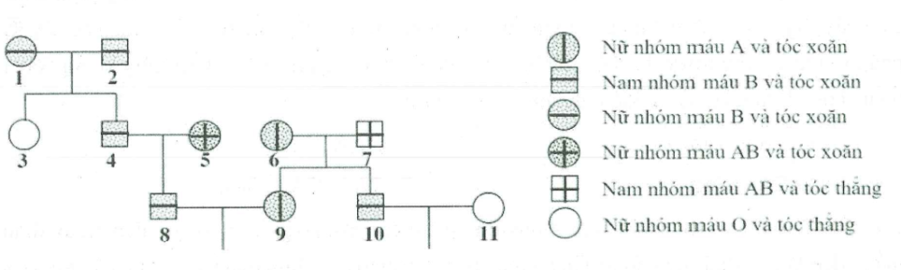 image4.png image4.png