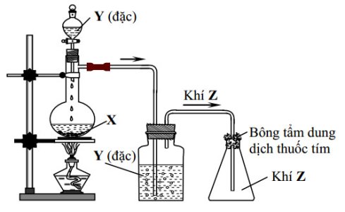 image2.jpg