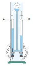 image1.jpg