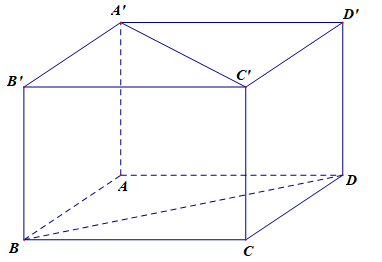 image8.png image8.png