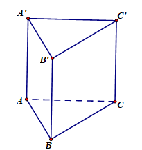 image9.png image9.png