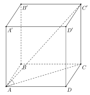 image8.png