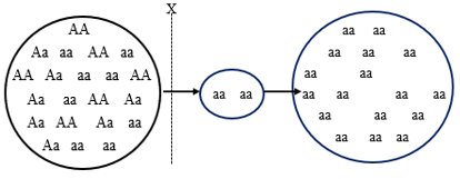 image2.png image2.png