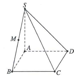image5.png image5.png