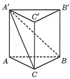 image5.png