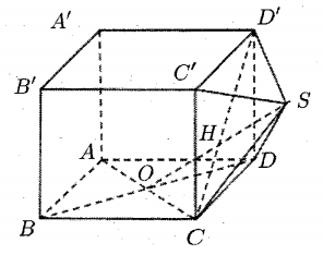 image7.png