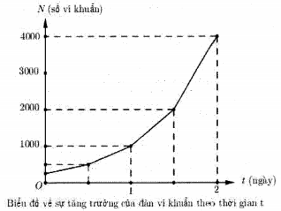image6.png