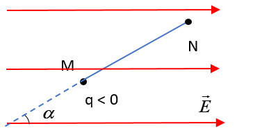 image1.png image1.png