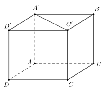 image3.png image3.png