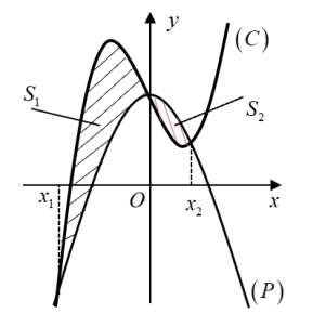 image9.png image9.png