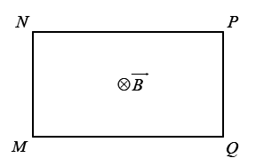 image2.png image2.png