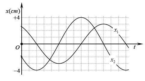 image6.png
