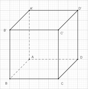 image4.png image4.png