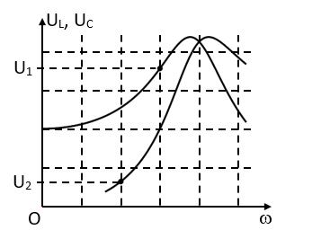 image7.png