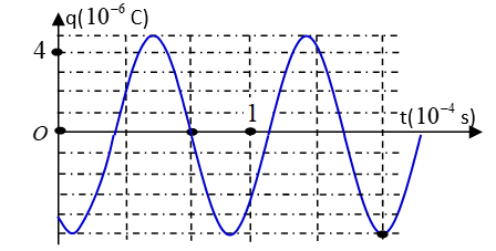 image2.png image2.png
