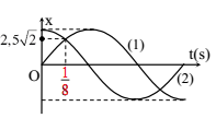 image7.png image7.png