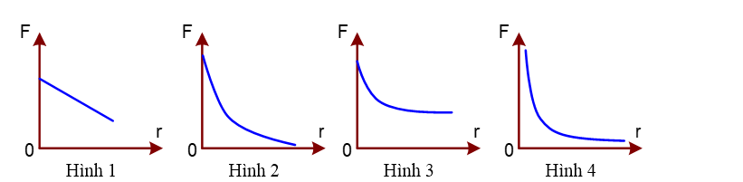 image2.png image2.png