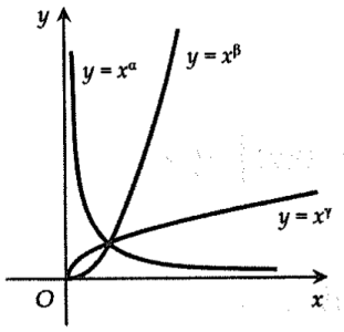 image3.png image3.png