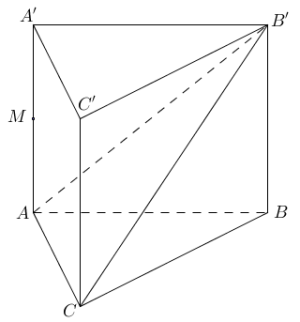image20.png image20.png