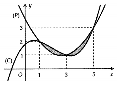 image5.png image5.png
