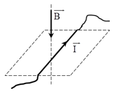 image1.png image1.png