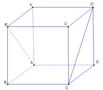 image7.png