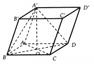 image2.png
