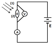 image2.png image2.png