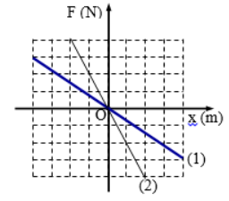 image2.png image2.png
