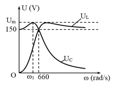 image3.png image3.png