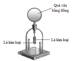 image1.png image1.png