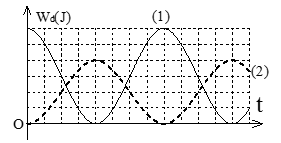 image4.png image4.png