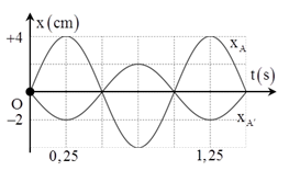 image1.png image1.png