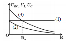image4.png image4.png