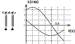 image3.png image3.png