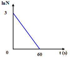 image1.png image1.png