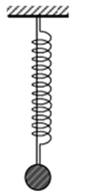 image2.png image2.png