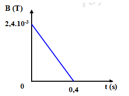 image1.png image1.png