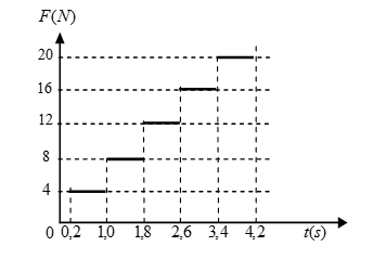 image2.png image2.png