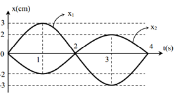 image1.png image1.png