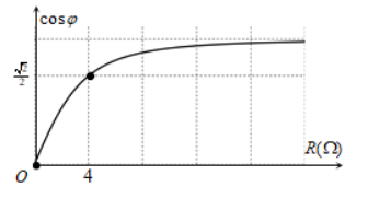 image2.png image2.png