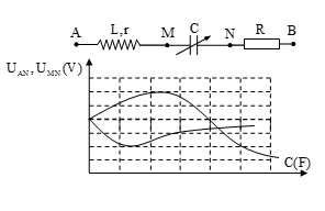 image2.png image2.png