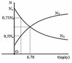 image3.png image3.png