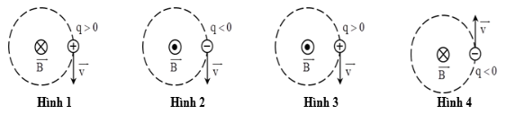 image1.png image1.png