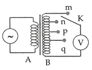 image2.png image2.png