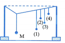 image3.png image3.png