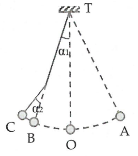 image5.png