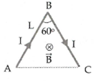 image2.png image2.png