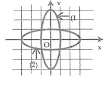 image4.png image4.png