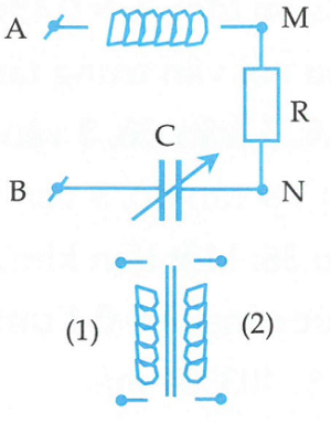 image2.png image2.png